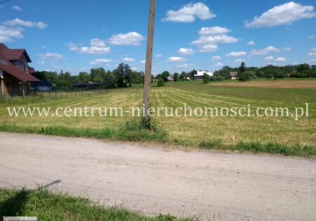 Oferta nr 1670