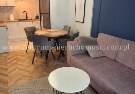 NOWOCZESNE mieszkanie DO WYNAJĘCIA 46m2