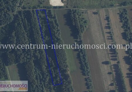 Ogromna działka 7566m2 Wola Paprotnia – idealna pod siedlisko!